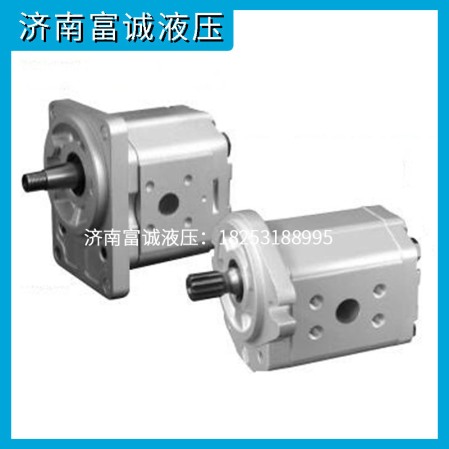 SNP2NN丹佛斯齒輪泵